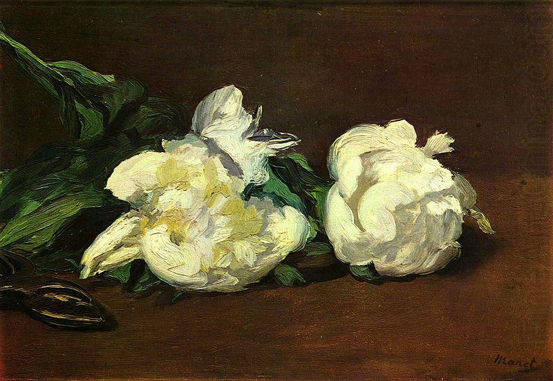 Edouard Manet Stilleben, Weibe Pfingstrosen oil painting picture